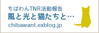 野良猫のTNR（繁殖制限）活動